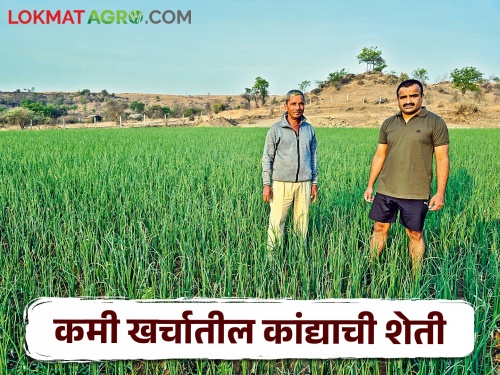 Farming done by Balasaheb to reduce production cost of onion crop | कांदा पिकातील उत्पादन खर्च कमी करण्यासाठी बाळासाहेबांनी केली अशी शेती
