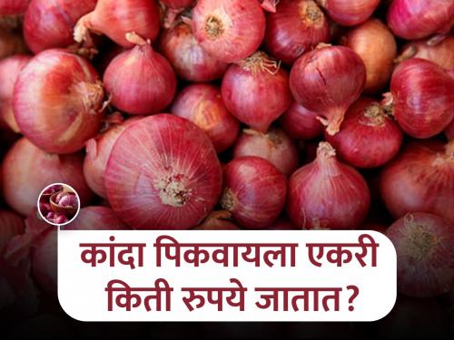 Due to onion export ban, series of crisis in farmers life | कांदा निर्यातबंदीमुळे शेतकऱ्यांच्या मानगुटीवर संकटाची मालिका