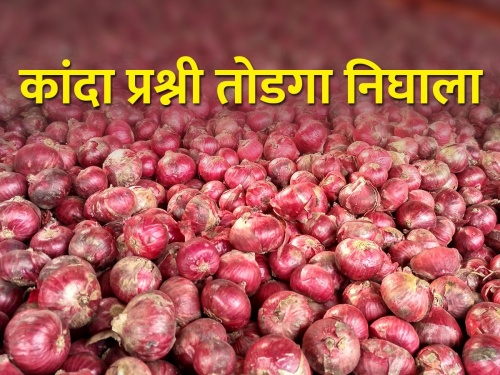 Central government approves purchase of additional two lakh tonnes of onion | अतिरिक्त दोन लाख टन कांदा खरेदीसाठी केंद्र सरकारची मंजूरी