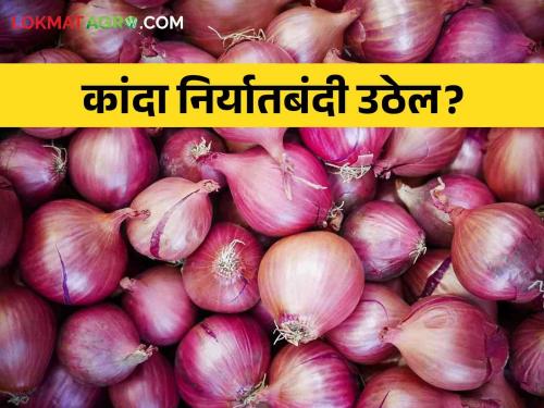 A surprise visit to the Lasalgaon Market Committee by a team of central officials; Onion export ban will be lifted? | केंद्रीय अधिकाऱ्यांच्या पथकाकडून लासलगाव बाजार समितीला अचानक भेट; कांदा निर्यातबंदी उठेल?