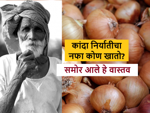 why onion farmers are getting low price even after Onion export decision, Know the fact | कांदा निर्यातीची बोली लागली २९ रुपयांची, शेतकऱ्यांना मिळतात १२ रुपये