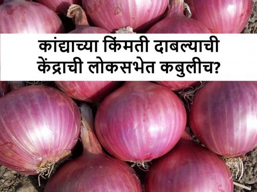 onion export: 2.60 lakh tons of onion exported in 2024-25, till 31st July, 2024, says govt, but here is reality | Onion Export: तर आजचा कांदा बाजारभाव ३ हजारापेक्षाही जास्त असता