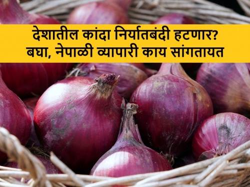 'Achche Din' in Nepal due to Onion Smuggling in India; dose Indian government remove onion export ban | नेपाळात नाशिकच्या कांद्याचे कौतुक; भारतातून तस्करीमुळे नेपाळी ग्राहकांना ‘अच्छे दिन’