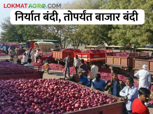 Latest News Farmers are aggressive over onion export ban | कांदा निर्यातबंदीवरून शेतकरी आक्रमक, बाजार बंदीचा निर्णय होणार 