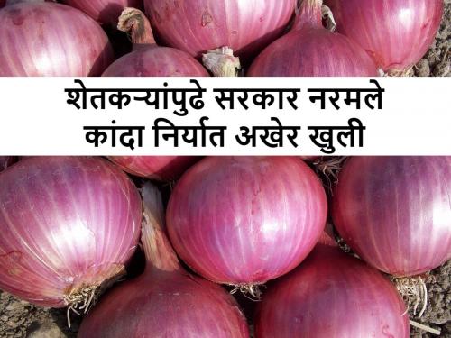 govt lifted onion export ban with conditions, know today's onion price in Maharashtra | onion export: कांदा उत्पादकांपुढे सरकार नरमले; अखेर अटी शर्तींसह कांदा निर्यात खुली, भाव वाढणार का?