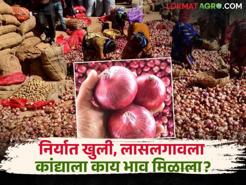 latest News after Onion export opened check todays onion market price in lasalgaon | Onion Market : कांदा निर्यात झाली खुली, आज सकाळ सत्रात लासलगाव मार्केटला काय भाव मिळाला? 