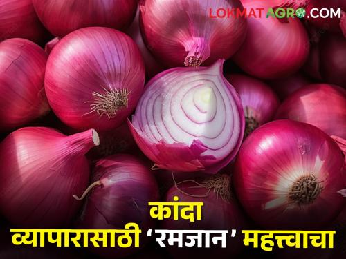 Latest News Pakistan will grab India's onion consumer country, smuggling will increase due to export ban | Onion Issue : पाकिस्तान बळकावणार भारताचे कांदा ग्राहक देश, निर्यातबंदीमुळे तस्करी वाढणार