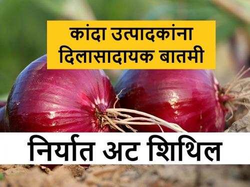 Onion Export Price: The central govt has removed the condition on the min export price of onion, reduced the export duty too | Onion Export Price: दिलासादायक! कांद्यावरील किमान निर्यातमूल्याची केंद्राने अट काढली, निर्यातशुल्कही घटवले