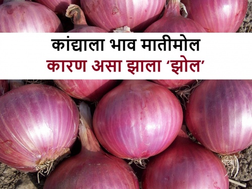 why are the market prices of onions are falling? revels horticulture produce exporters association | शेतकरी बांधवांनो, तुमच्या कांद्याचे बाजारभाव का पडत आहेत? समजून घ्या