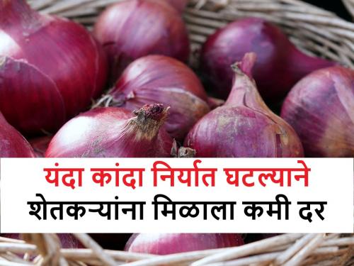 Onion Export: Due to decrease in export, farmers' onion is getting low market price this year | Onion Export: निर्यात घटल्याने यंदा शेतकऱ्यांच्या कांद्याला मिळतोय कमी बाजारभाव