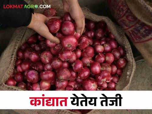 Onion Market: How did get onion market price in Manchar market committee? | Onion Market मंचर बाजार समितीत कांद्याला कसा मिळाला भाव?