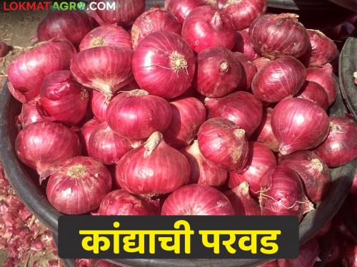 When will the onion export ban be lifted? Onion will be affordable after receiving the rate of Rs | कांदा निर्यातबंदी कधी उठेल? किती रुपये दर मिळाल्यावर कांदा परवडेल