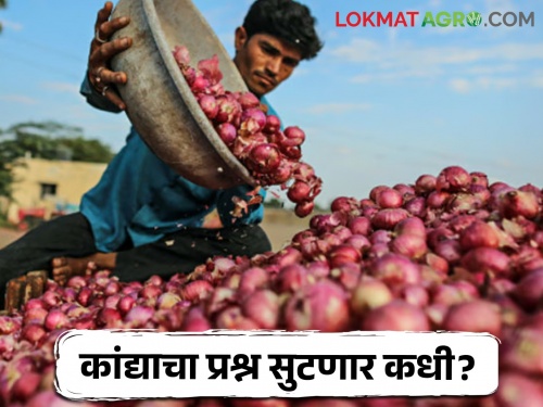 Latest News role of market committee administration is important to start onion auction in nashik | Onion Issue : कांद्याचा तिढा, शेतकऱ्याचे मरण, बाजार समिती प्रशासनाची भूमिका महत्वाची, वाचा सविस्तर