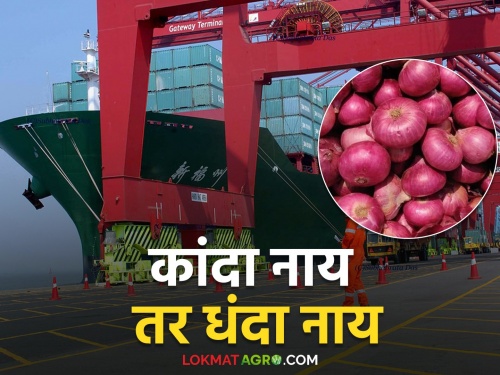 Onion Export; So much foreign exchange would have been earned if onion export started | Onion Export; कांदा निर्यात सुरु असती तर मिळाले असते इतके परकीय चलन