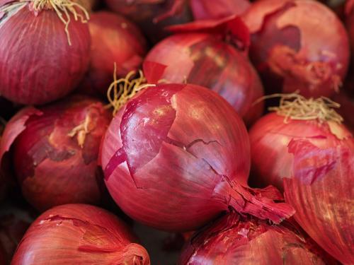 Latest News Highest arrival of onion in Solapur kanda market, read today's market price | Kanda Market : सोलापुर कांदा मार्केटमध्ये लाल कांद्याची सर्वाधिक आवक, वाचा आजचे बाजारभाव?