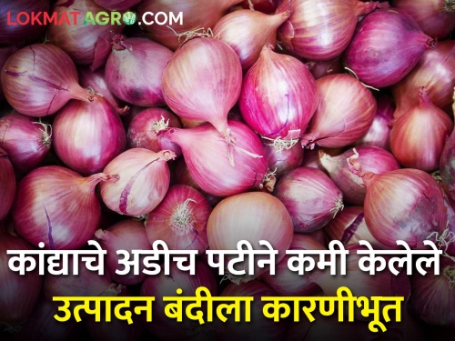 Onion production of agriculture department has cost the lives of farmers | कृषी विभागाचा कांदा उत्पादन घाेळ उठला शेतकऱ्यांच्या जीवावर