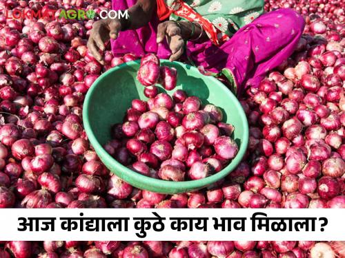 Latest News 13 may 2024 todays red summer onion market price in nagpur market yards see details | Onion Market : नागपूर बाजार समितीत लाल कांद्याला काय भाव मिळाला? वाचा आजचे सविस्तर दर