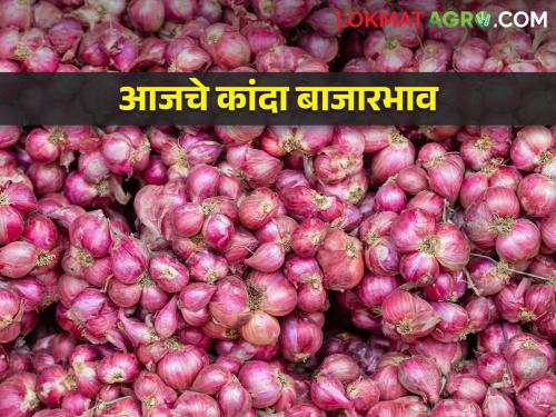 Latest News 17 Feb 2024 Todays Onion Market Price In Maharashtra | राज्यभरातील बाजार समित्यांमध्ये काय भाव मिळाला? आजचे कांदा बाजारभाव 