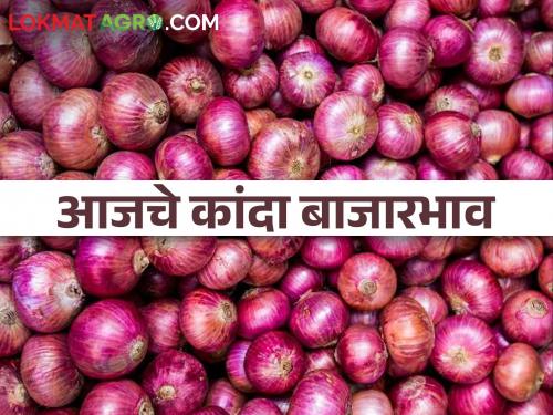 Latest News 02 Mar 2024 todays onion market price in nashik with maharashtra | Onion Market : लाल कांद्याची आवक घटली, उन्हाळ कांदा बाजारात, वाचा कुठे-काय बाजारभाव मिळाला? 