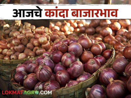 Latest news 04 may 2024 todays summer onion price in maharashtra market yards | Onion Market : निर्यात खुली झाली, राज्यभरात कांद्याला काय भाव मिळाला? वाचा सविस्तर 