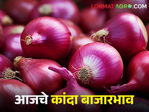 Latest News 05 march 2024 Todays Onion Market Price in nashik with maharashtra | राज्यातील कुठल्या बाजार समितीत कांद्याला सर्वाधिक भाव, जाणून घ्या आजचे बाजारभाव 