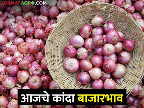 Latest News Todays Onion Market price in nashik with maharashtra | Onion Market : लाल, उन्हाळ कांद्याला कुठे काय बाजारभाव मिळाला, आजचे सविस्तर दर ? 