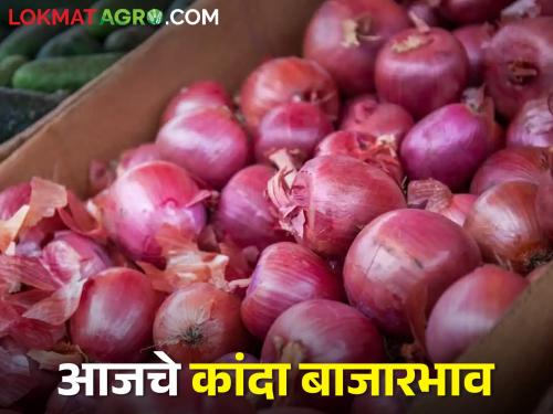 Latest News 11 March Todays Onion Market Price in nashik with maharashtra | Onion Market : लासलगाव बाजार समितीत सरासरी भाव काय मिळाला, जाणून घ्या आजचे कांदा दर 