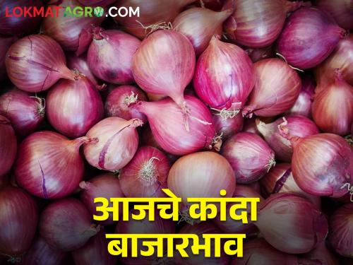 Latest News 16 Feb 2024 Todays Onion Market price In maharashtra | लासलगावसह राज्यातील बाजार समित्यांमध्ये कांद्याला काय भाव मिळाला? वाचा सविस्तर