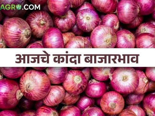 latest news 17 march todays onion market price in maharashtra bajar samitit | कांदा दर पुन्हा जैसे थे, आज राज्यातील बाजारसमित्यांमध्ये कांद्याला काय भाव मिळाला? 