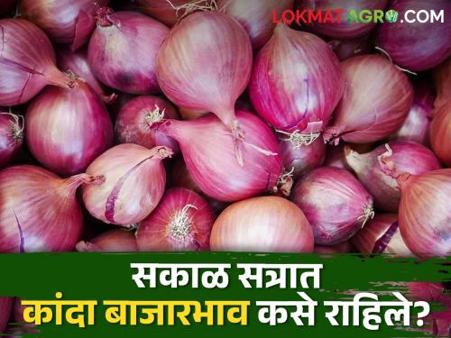 Latest News Todays Onion Morning session market prices in nashik with maharashtra | Onion Market : सकाळ सत्रात कांद्याची आवक घटली, लाल कांद्याला सरासरी काय भाव मिळाला? 