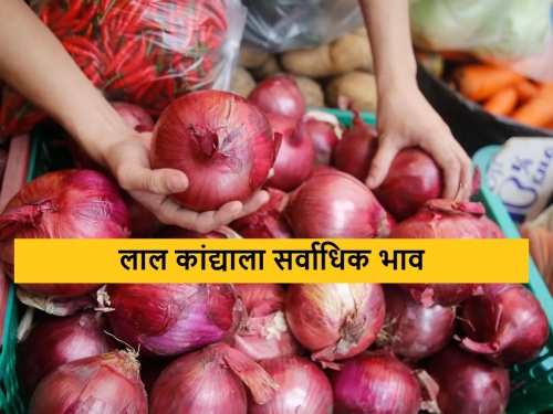 Latest News 22 april 2024 todays Onion Market Price in nashik and maharashtra | Onion Market :पेन बाजार समितीत लाल कांद्याला सर्वाधिक भाव, वाचा आजचे सविस्तर दर