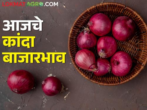 Latest News 28 Feb 2024 Todays Onion Market Rate In Nashik and maharashtra | Onion Market : कांद्याची आवक वाढली, आज लासलगावला काय बाजारभाव मिळाला? जाणून घ्या 