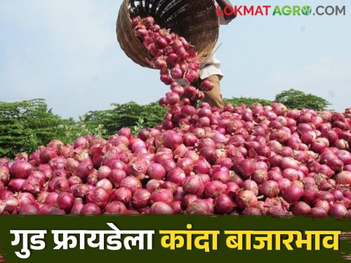Latest news 29 march todays onion market price in nashik and maharashtra | Onion Market : राज्यभरात कांद्याची आवक घटली, लासलगावला उन्हाळ कांद्याला काय भाव मिळाला? 