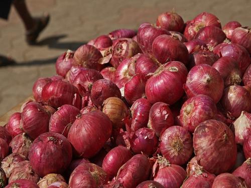 Will make onion growers cry; Fall in price | कांदा उत्पादकांना रडवणार; भावात घसरण