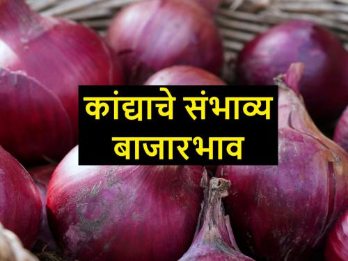 onion market price in October and November month | ऑक्टोबर ते डिसेंबर दरम्यान कांद्याचे संभाव्य बाजारभाव असे असतील