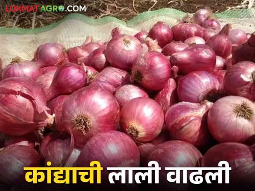 Kanda Bajarbhav: 36 thousand 582 onion bag arrival in Ghodegaon market How did the market price | Kanda Bajarbhav : घोडेगाव बाजार समितीत ३६ हजार ५८२ कांदा गोण्यांची आवक कसा मिळाला बाजारभाव