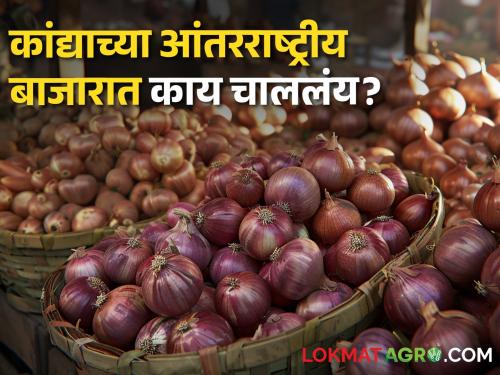 Latest News Onion Issue in international market Pakistan's onion export duty is 350 Doller now | Onion Issue : पाकिस्तानचे कांदा निर्यात शुल्क निम्म्यावर, आंतरराष्ट्रीय बाजारात काय चाललंय? 