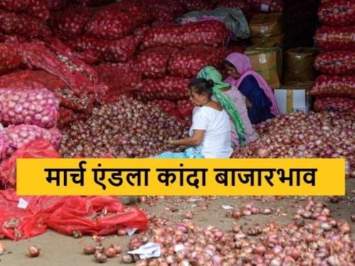 Onion Market 31 march today's summer onion market price in maharashtra | Onion Market : 31 मार्च रोजी कांद्याला काय भाव मिळाला? जाणून घ्या आजचे बाजारभाव 