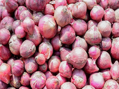 Instructions to 'NAFED' to procure onion from market committees | बाजार समित्यांमधून कांदा खरेदीचे 'नाफेड'ला निर्देश