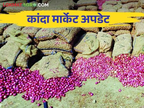 Kanda Bajar Bhav : Inward of onion decreased in Srirampur Nagar market How is the price getting? | Kanda Bajar Bhav : श्रीरामपूर नगर मार्केटमध्ये कांद्याची आवक घटली कसा मिळतोय दर