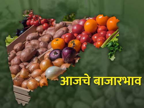 Today's onion market price; Agricultural commodity market prices in the major market committees of the state | आजचे कांदा बाजारभाव; राज्यातील प्रमुख बाजारसमित्यांमध्ये असे आहेत शेतमाल बाजारभाव