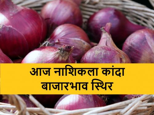 Onion market price sustained in Lasalgaon-Pimpalgaon, know today's onion market rate | Onion Price: लासलगाव-पिंपळगावमध्ये कांदा बाजारभाव टिकून; जाणून घ्या आजचे कांदा बाजारभाव