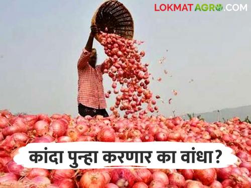 How much onion do Indians need annually? Learn complete mathematics | भारतीयांना वार्षिक किती कांदा लागतो? जाणून घ्या संपूर्ण गणित