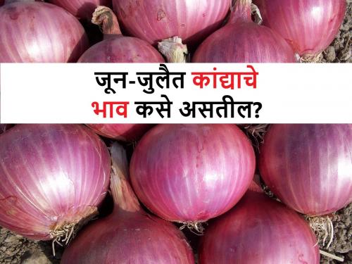 Future Onion prices: How will onion market prices be in June, July? | Future Onion prices: जून, जुलैमध्ये कांदा बाजारभाव कसे असतील? जाणून घ्या