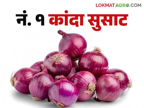 Onion Market Update: More than half of Nashik's onion in the state market; Read what rates are available | Onion Market Update : राज्याच्या बाजारात नाशिकचा कांदा अर्धाहून अधिक; वाचा काय मिळतोय दर