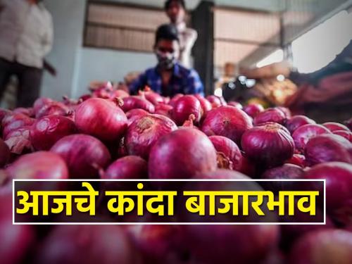 Onion got the highest price in this market committee, Know today's onion market price | आज ‘या’ बाजारसमितीत मिळाला कांद्याला सर्वाधिक दर; जाणून घ्या आजचे कांदा बाजारभाव