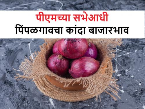 know th onions market prices today in Pimpalgaon-Lasalgaon before the Prime Minister's election rally | पंतप्रधानांच्या सभेआधी पिंपळगाव-लासलगावला कांद्याला किती बाजारभाव मिळतोय?