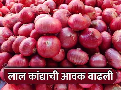 In ten days the price of onion fell by two thousand | दहा दिवसांत कांदा बाजारभाव दोन हजारांनी उतरले