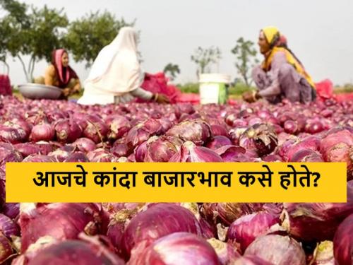 Latest News Todays Onion Market Price in nashik and maharashtra bajar samiti | Onion Market : लासलगावला लाल कांदा आलाच नाही, उन्हाळ कांद्याला काय भाव मिळाला? 