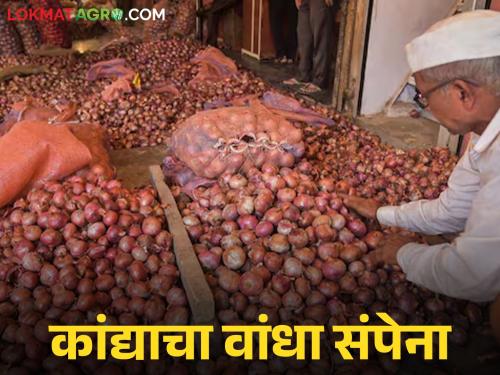latest news Onion Market: No price for onions despite waiting for three months; Farmers' hopes are fading! | Onion Market : तीन महिने वाट पाहूनही कांद्याला नाही भाव; शेतकऱ्यांची आशा मावळतेय!